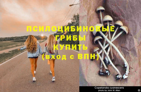 COCAINE Костерёво