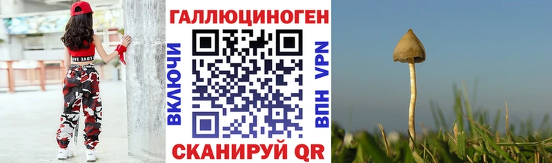 Галлюциногенные грибы мухоморы  Малгобек 